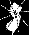 broadcaster logo